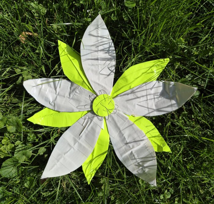 Fiona entry photo 2