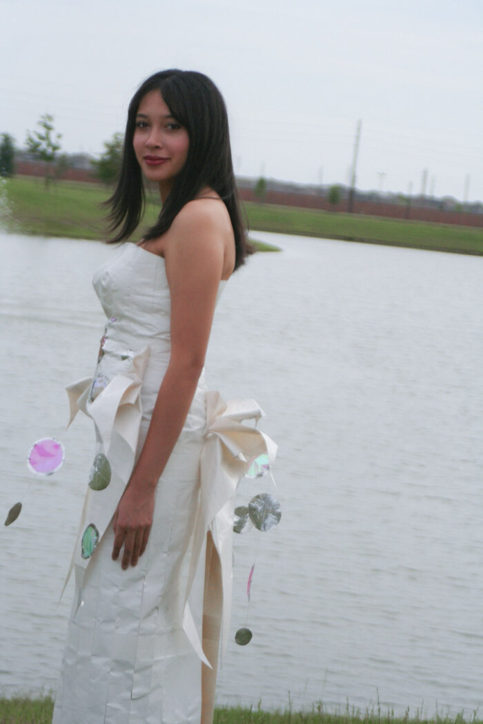 Ariel entry photo 2