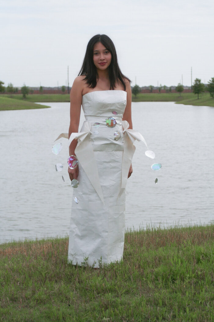 Ariel entry photo 4