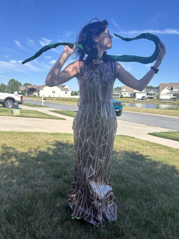 Taylor entry photo 2